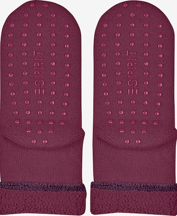 ESPRIT Socken 'Cozy' in Rot: Vorderseite