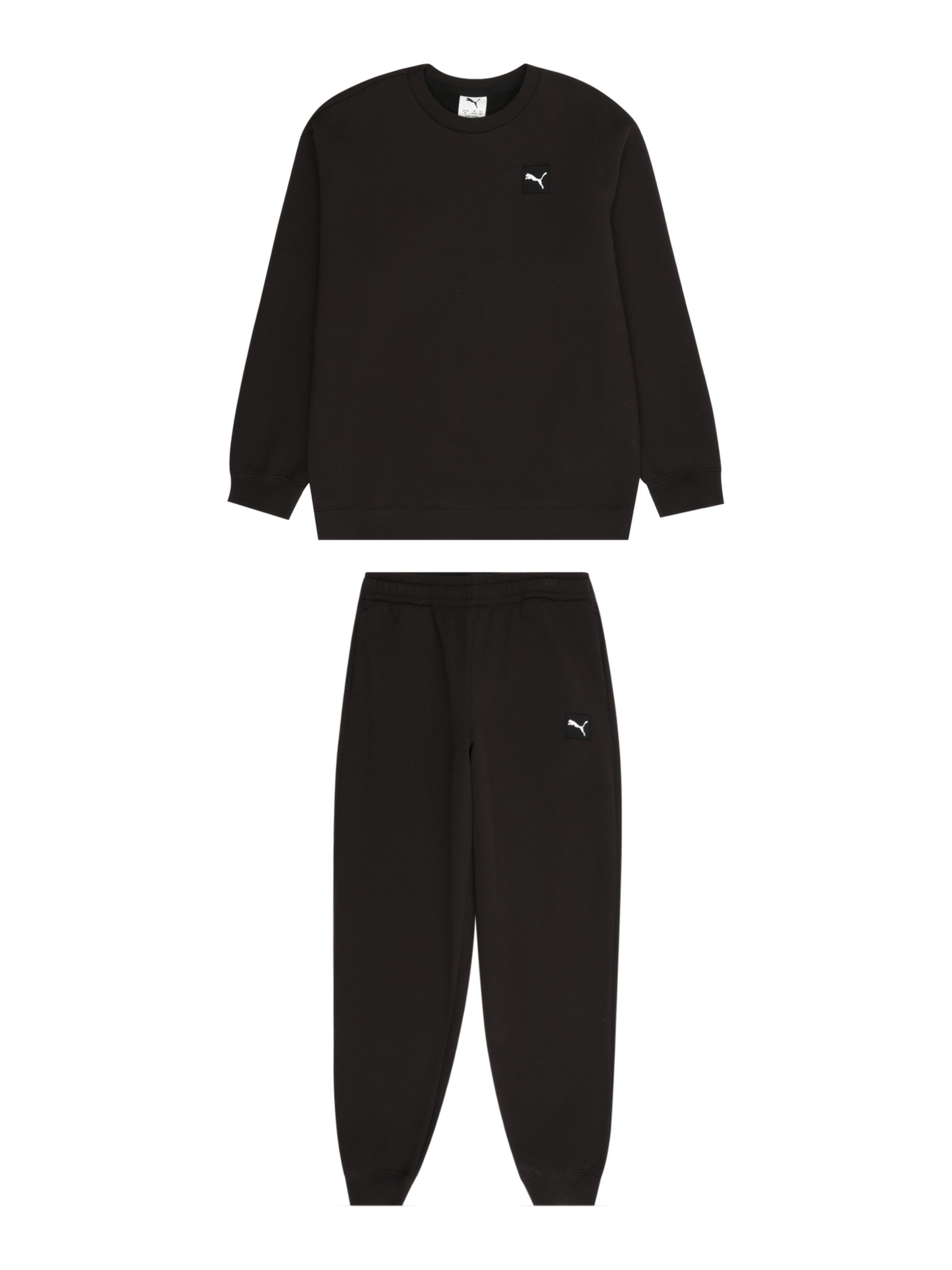 PUMA Sweatsuit 'ESS' in Black: front