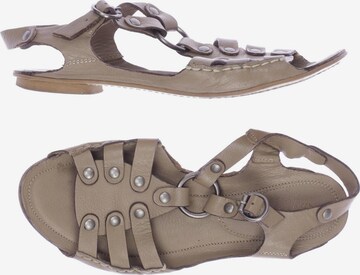 CATWALK Sandalen 37 in Braun: predná strana