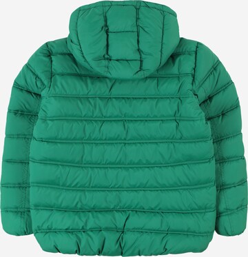 UNITED COLORS OF BENETTON Зимняя куртка в Зеленый