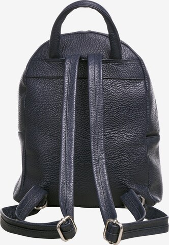 LLOYD Backpack in Blue