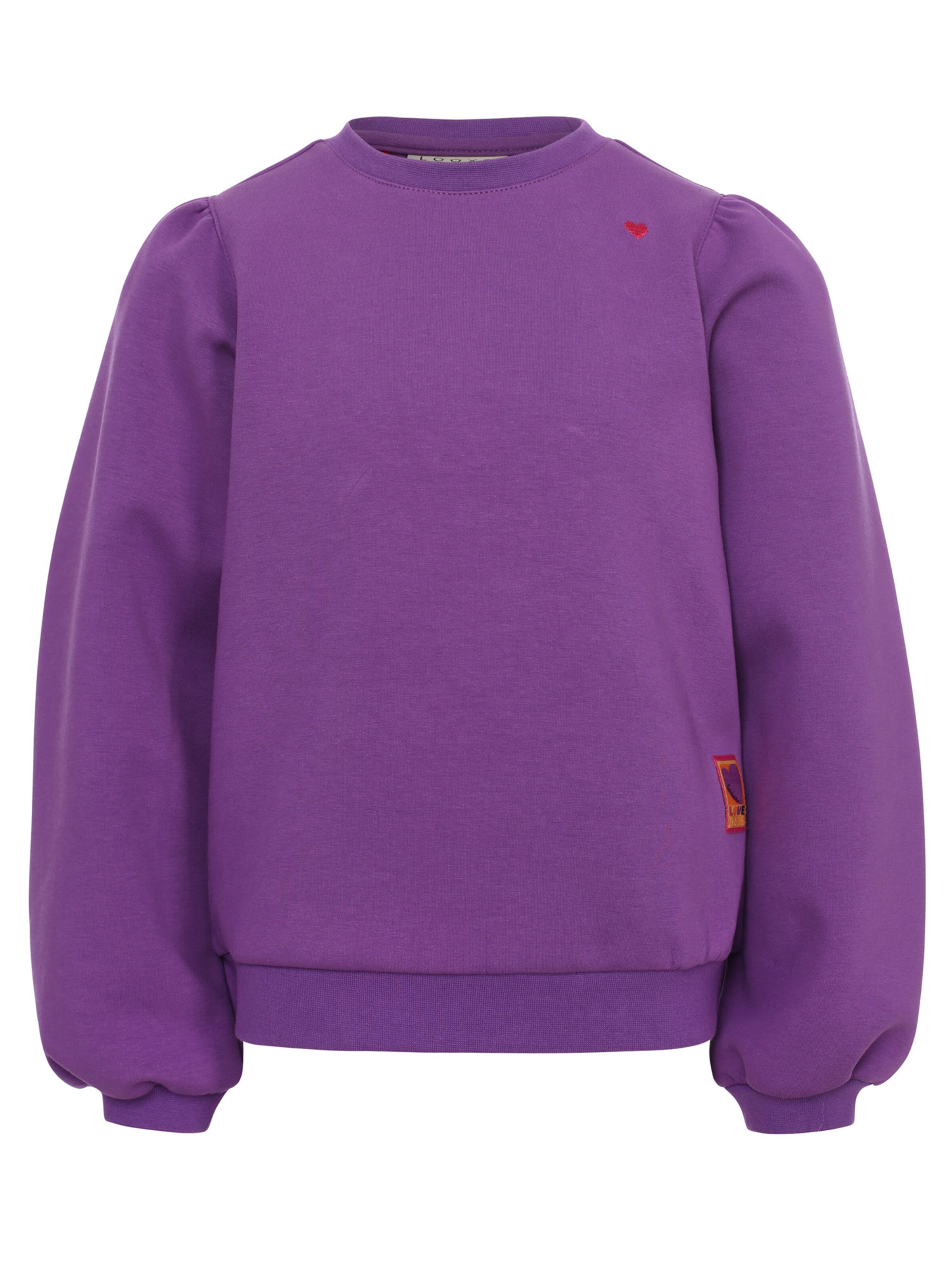 Looxs Revolution Sweatshirt‌ in Lila: Vorderseite