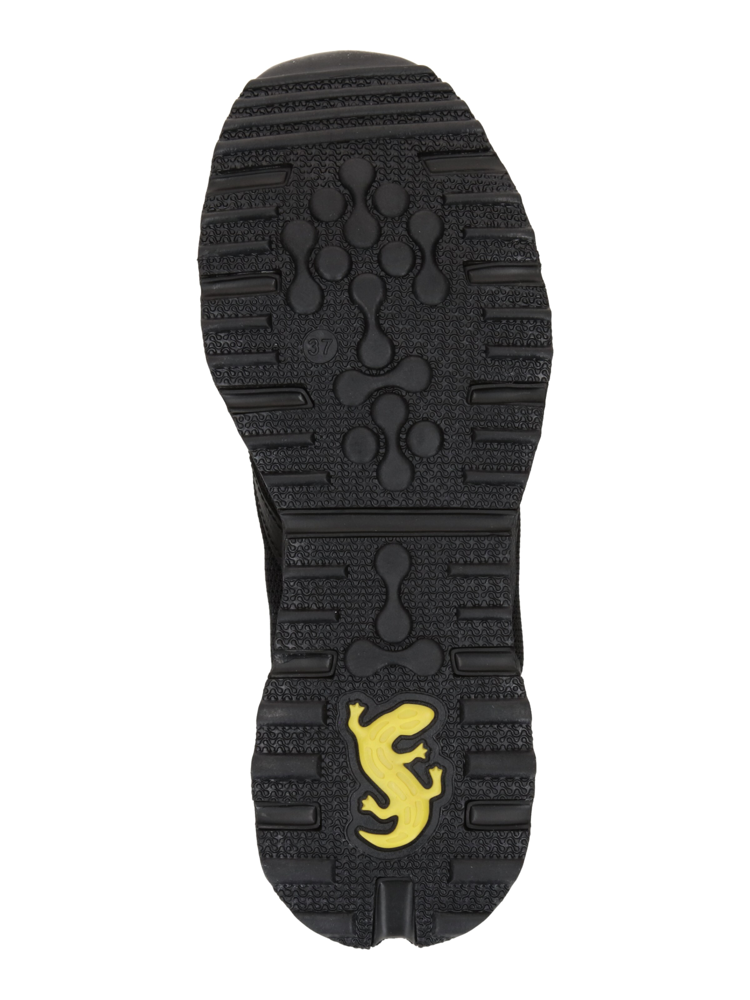 Baskets basses SALAMANDER en noir