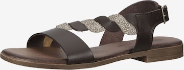 IGI&CO Strap Sandals in Brown: front