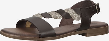 IGI&CO Sandalen met riem in Bruin: voorkant