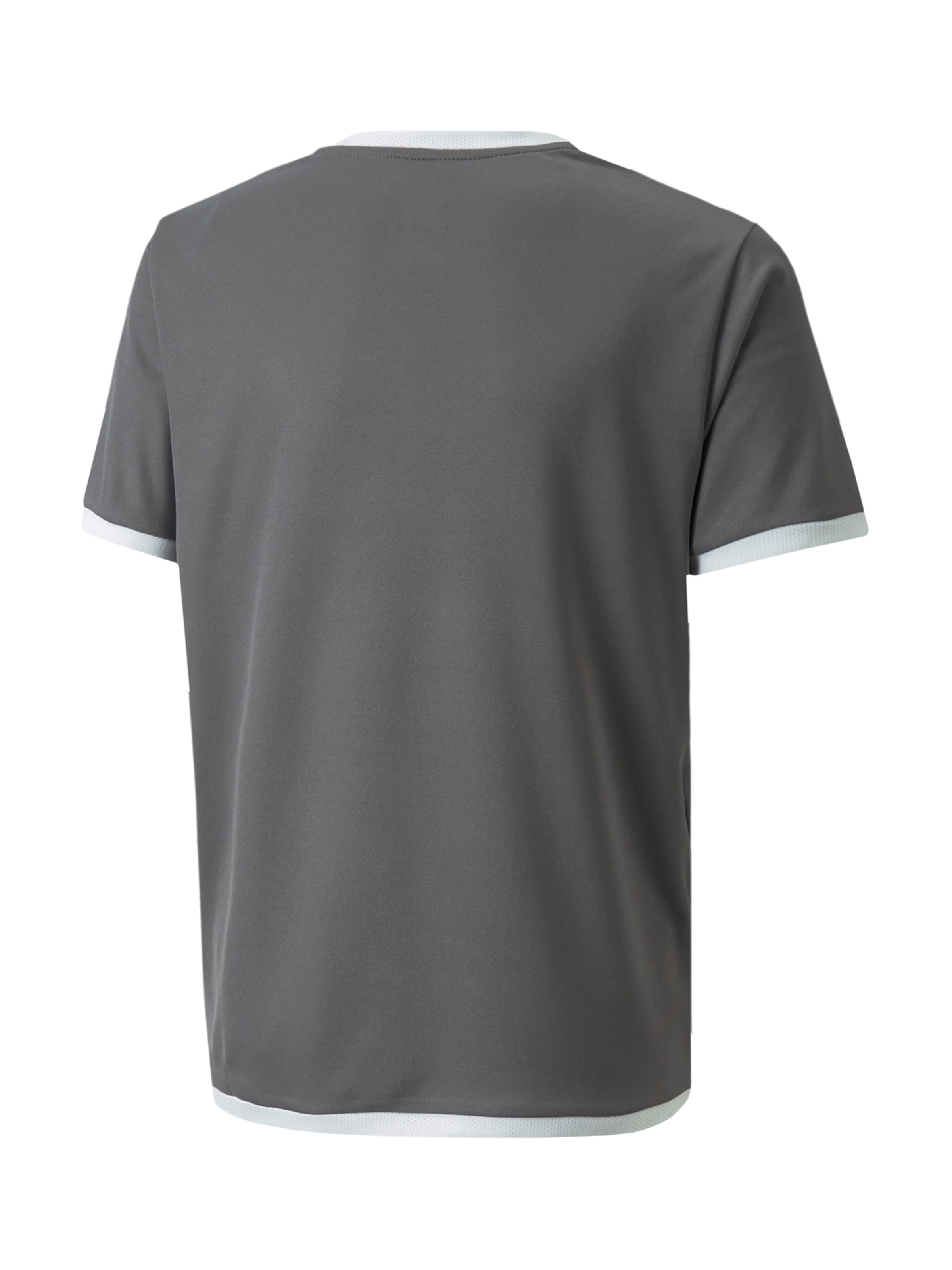 PUMA Performance Shirt 'TeamLiga' in Grey