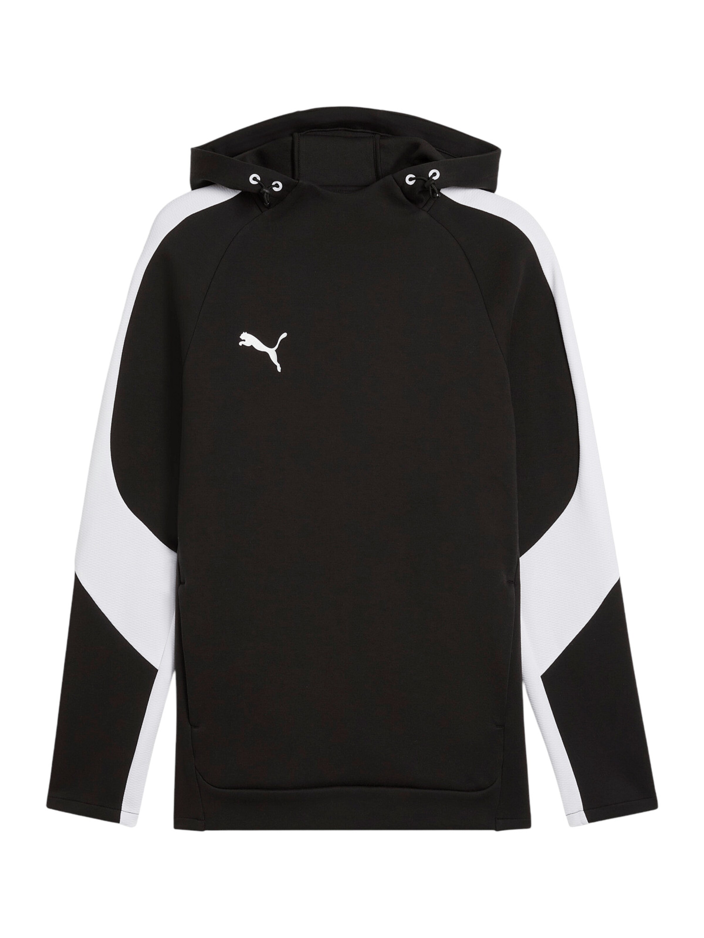 PUMA Sportsweatshirt 'TeamEvostripe' in Schwarz: Vorderseite