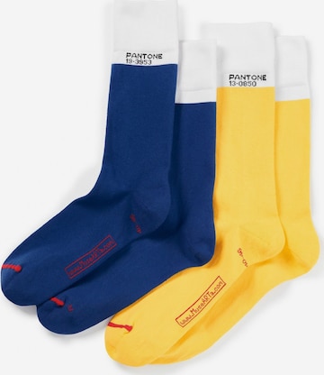 Pantone made by MuseARTa Socks 'Colours' in Blue: front