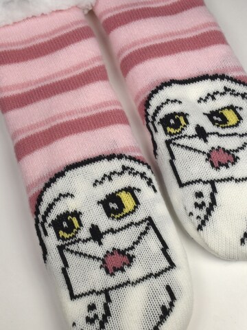 Harry Potter Socks 'Hedwig Eule' in Pink