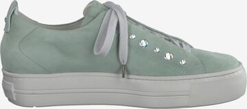 Sneaker bassa di Paul Green in verde