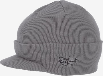 2Stoned Beanie in Grey: front