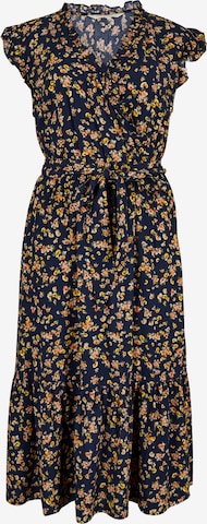 Robe Apricot en bleu : devant