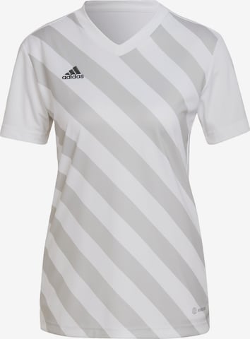 ADIDAS SPORTSWEAR Trikot 'Entrada 22' in Weiß: predná strana