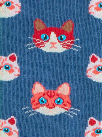 DillySocks Sokken 'Cat Lover Pack - Kitty Chat - Cats of Prey - Sky Kitten' in Gemengde kleuren