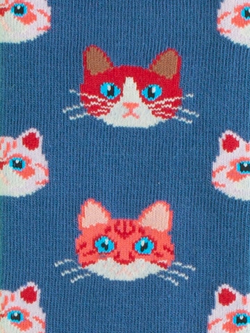 DillySocks Socks 'Cat Lover Pack - Kitty Chat - Cats of Prey - Sky Kitten' in Mixed colors