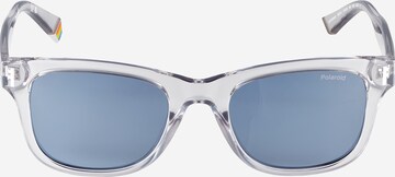 Polaroid Sunglasses in Grey