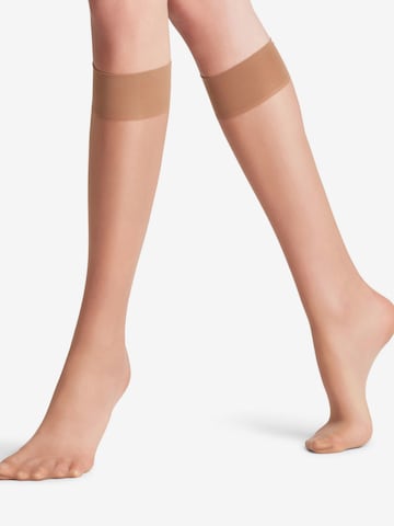 FALKE Knee High Socks 'Seidenglatt' in Yellow: front
