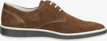 IGI&CO Sportlicher Schnürschuh in Braun