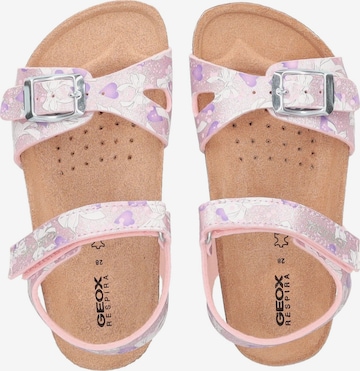 GEOX Sandalen in Roze