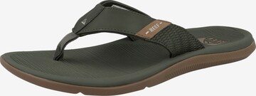 REEF T-Bar Sandals 'Santa Ana' in Green: front