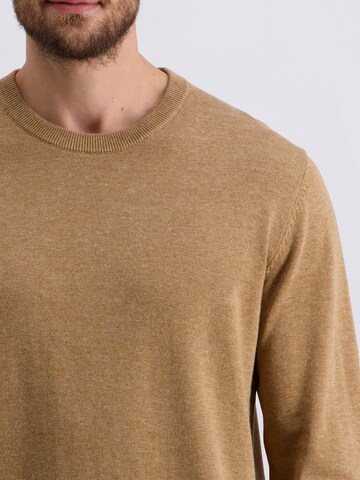 Pull-over PIERRE CARDIN en marron