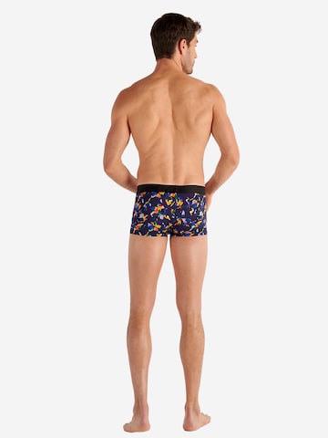 HOM Trunk ' Funky Styles ' in Mischfarben