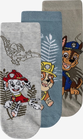 NAME IT - Calcetines 'MYLIUS PAW PATROL' en azul: frente