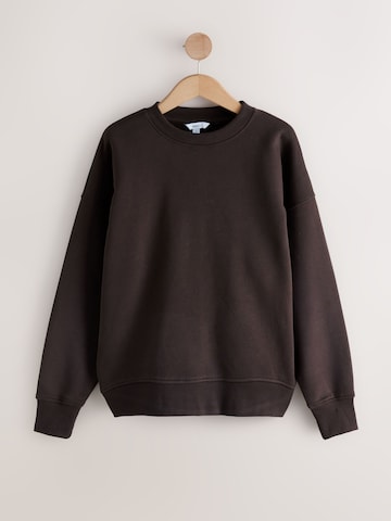 Next Sweatshirt in Brown