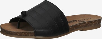 COSMOS COMFORT T-Bar Sandals in Black: front