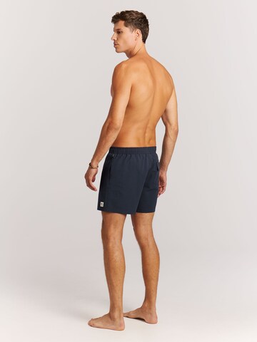 PROTEST Board Shorts 'PRTAgden' in Blue
