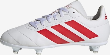 Chaussure de sport ADIDAS PERFORMANCE en blanc : devant