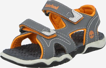 TIMBERLAND Sandals & Slippers 'Adventure Seeker' in Grey: front