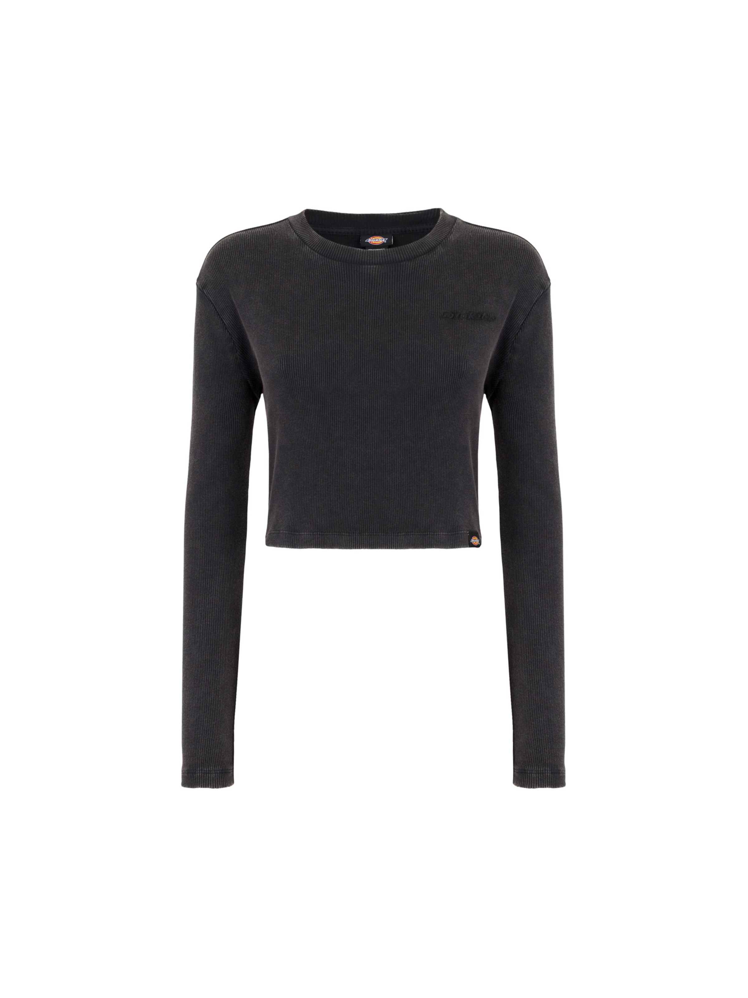 Maglietta 'PLENTYWOOD' di DICKIES in grigio: frontale