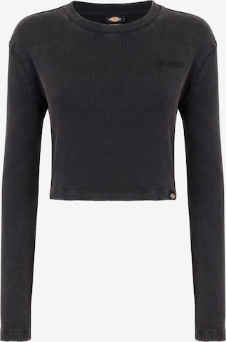 DICKIES Футболка 'PLENTYWOOD' в Серый: спереди