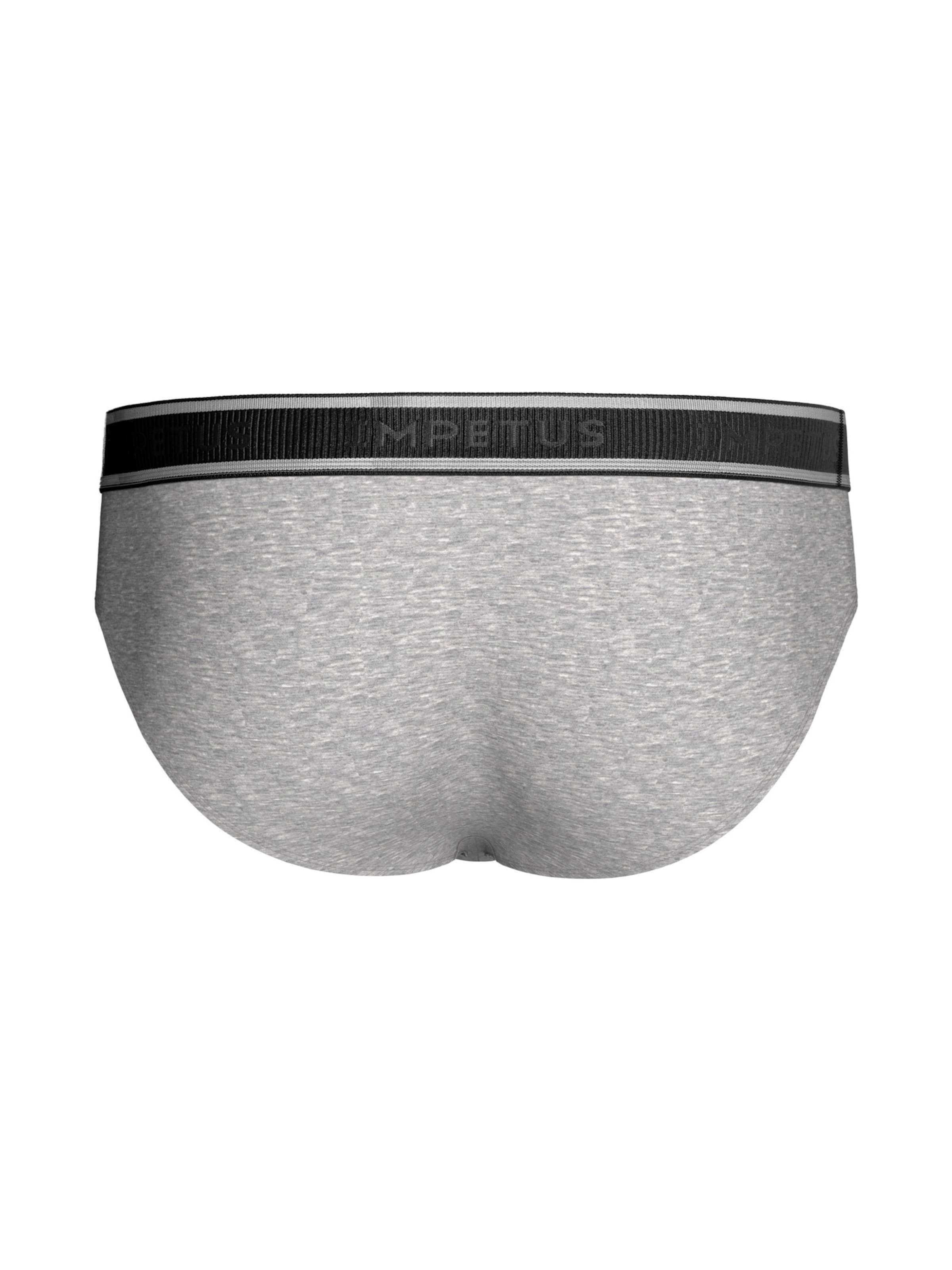 IMPETUS Panty in Grey