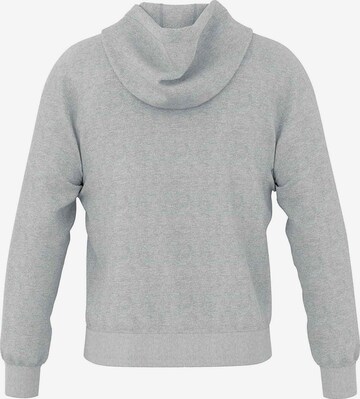 Errea Athletic Sweatshirt ' Warren 3.0' in Grey