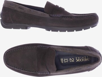 GEOX Flats & Loafers in 43 in Brown: front
