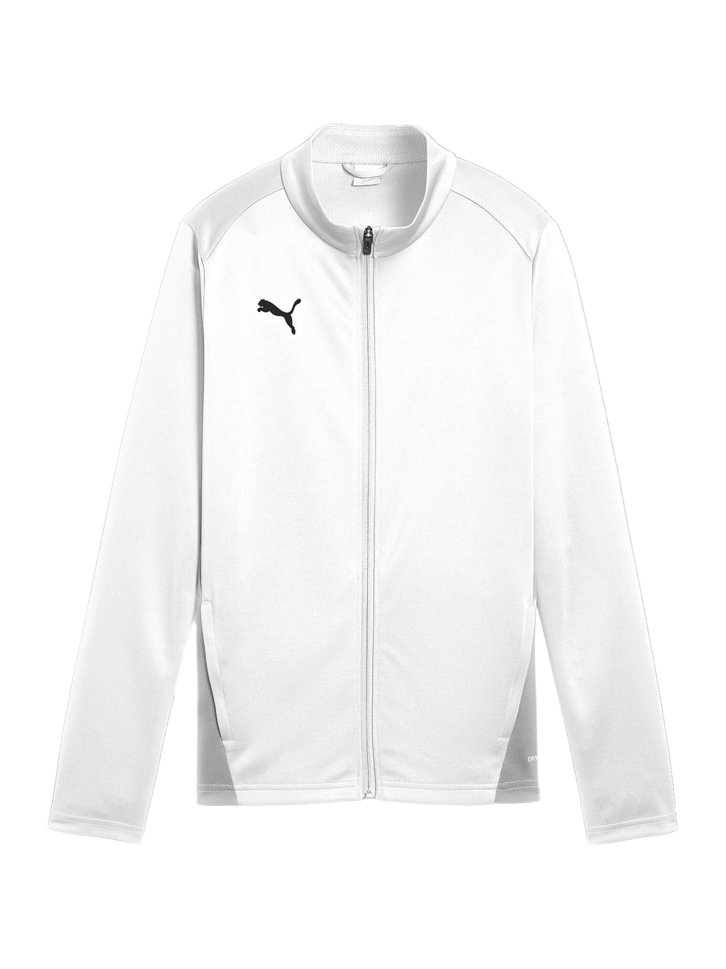 PUMA Trainingsjacke 'TeamGoal' in Schwarz: Vorderseite