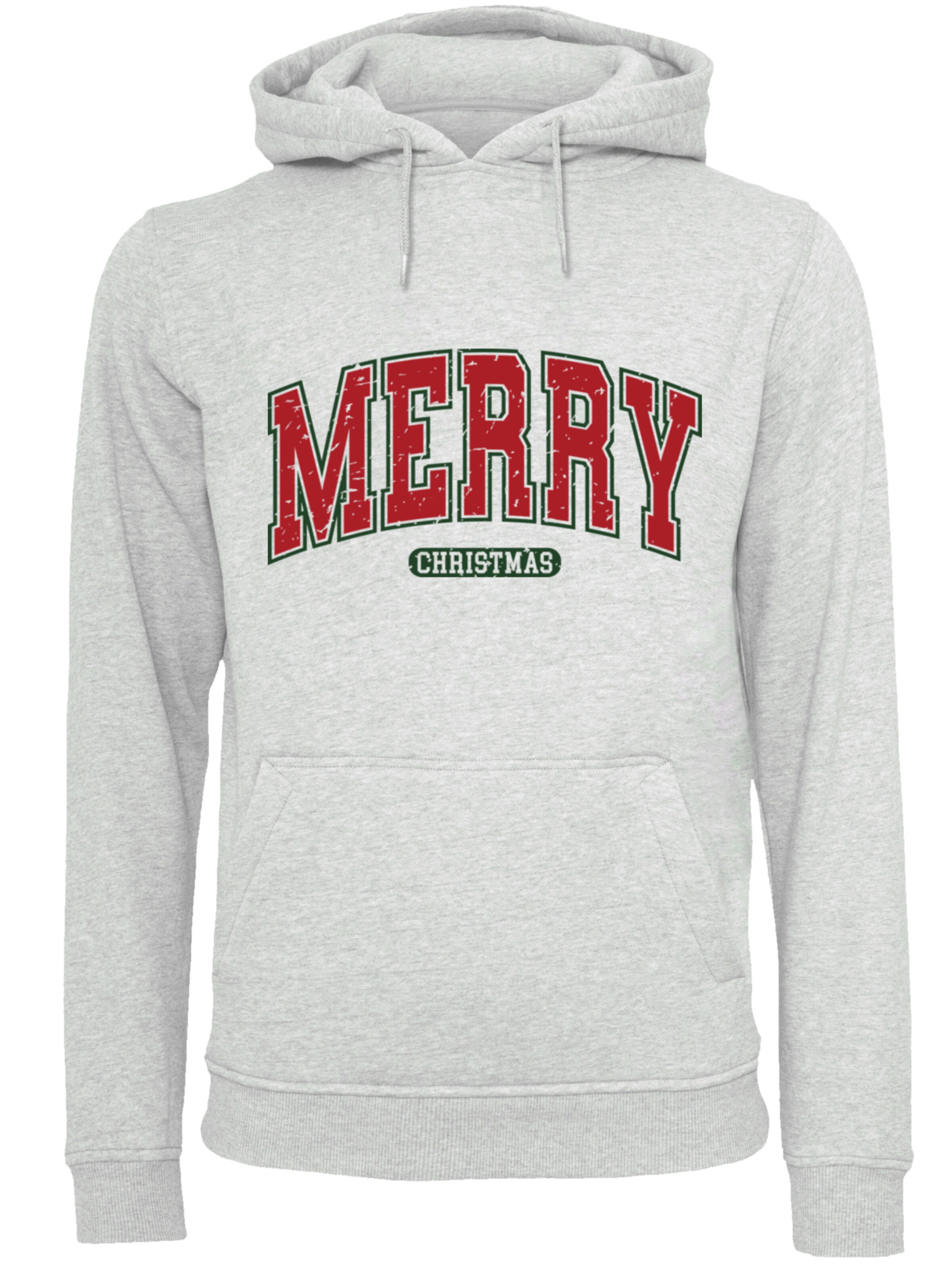 F4NT4STIC Sweatshirt in Grijs: voorkant