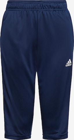 ADIDAS PERFORMANCE Sporthose in Blau: front
