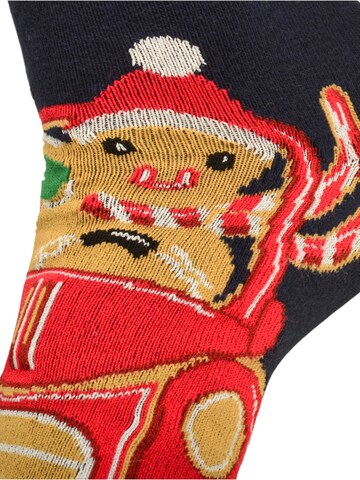 Lee Cooper Sokken 'Weihnachtssocken' in Gemengde kleuren