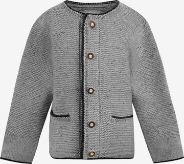 STOCKERPOINT Strickjacke 'Malo' in Grau: predná strana