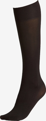 FALKE Fine Stockings in Black: front