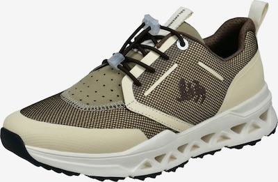 SALAMANDER Matalavartiset tennarit värissä beige / tummabeige / suklaa, Tuotenäkymä