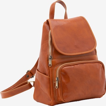 Viola Castellani Backpack in Brown: front
