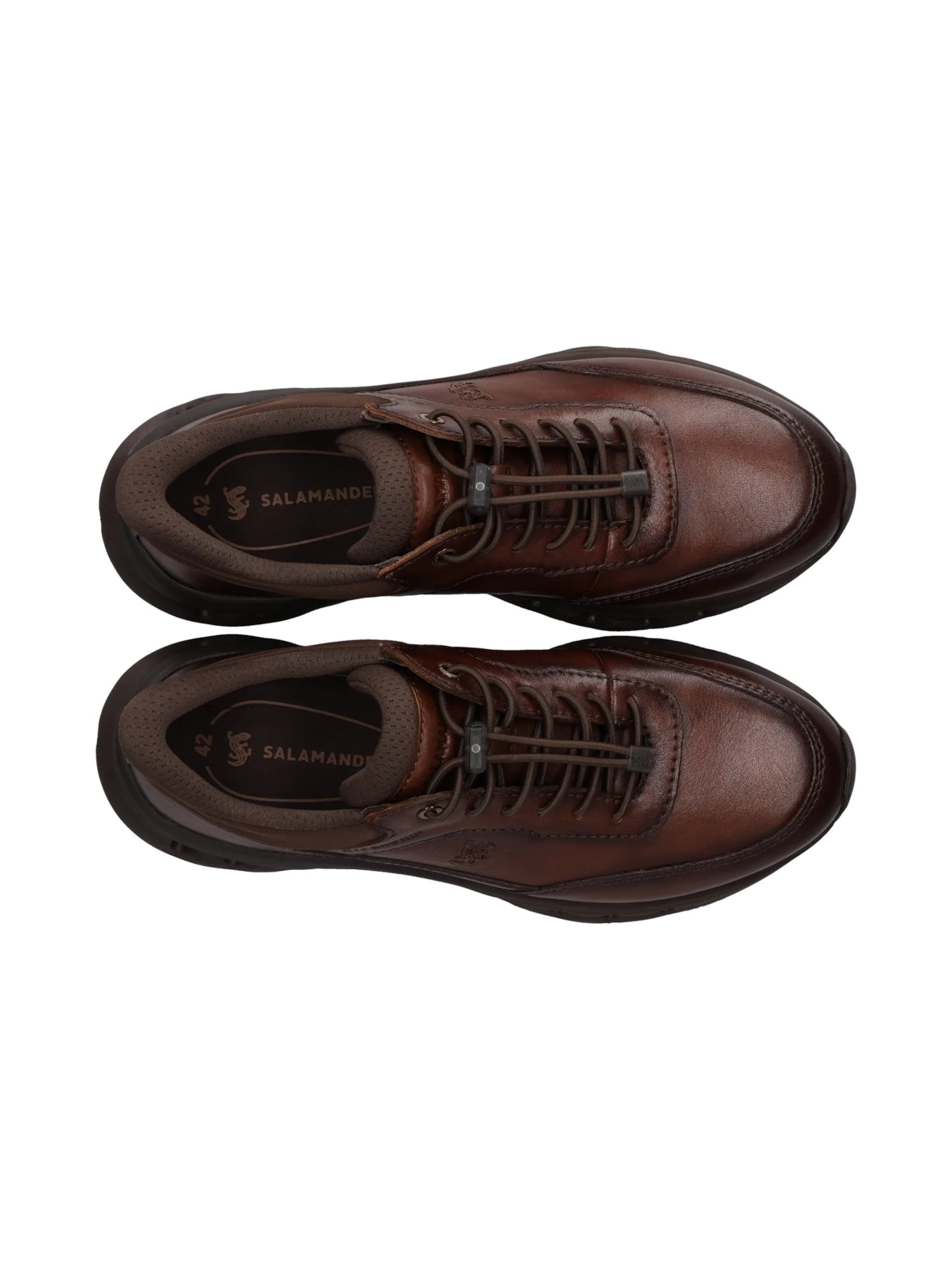 Sneaker bassa di SALAMANDER in marrone