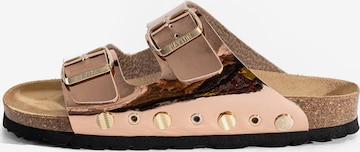 Bayton Pistokkaat 'RIVALTA ' värissä kulta: etupuoli