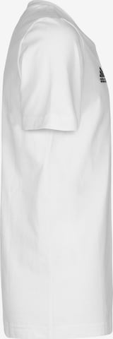 ADIDAS PERFORMANCE Funkčné tričko 'Entrada 22' - biela