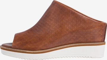 TAMARIS Mule in Brown