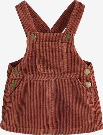 Next Skirt in Brown: front